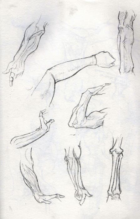 Studies.3