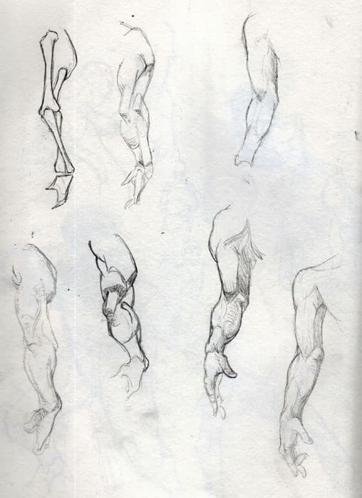 Studies.5
